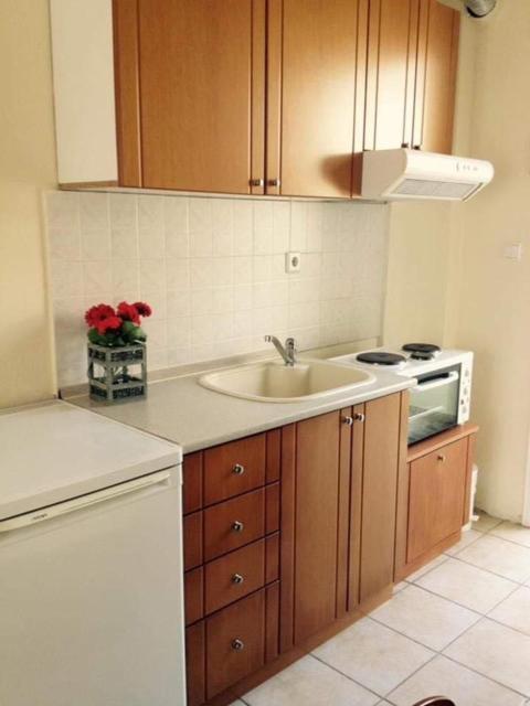 Jenny'S Holiday Villas Поліхроно Екстер'єр фото